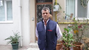Eşek arıları kabusları oldu