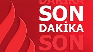 HDP eski milletvekili Edibe Şahin gözaltına alındı