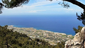 İşte gerçek vefa
