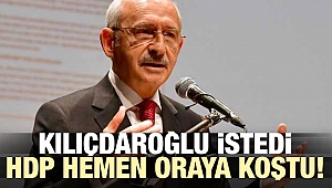 Kılıçdaroğlu istedi! HDP, AB'ye koştu