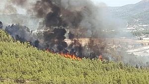Fethiye'de yangın! Ekipler alarm durumunda