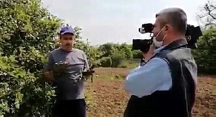 "Sahte limon" haberi şüphelileri serbest bırakıldı!