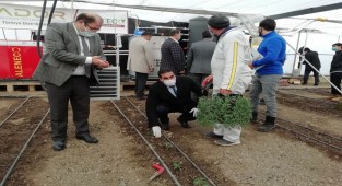 Erzincan seraları kışında üretecek
