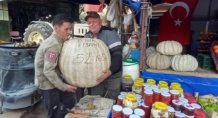 52 kiloluk dev kabak görenleri şaşırtıyor