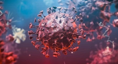 Gizemli hepatit virüsü paniği! Bir ülkede daha görüldü