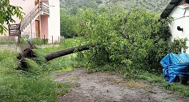 Artvin'de şiddetli rüzgar ağaçları devirdi, çatıları uçurdu