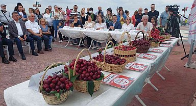 Tekirdağ'da kiraz güzellik yarışması düzenlendi