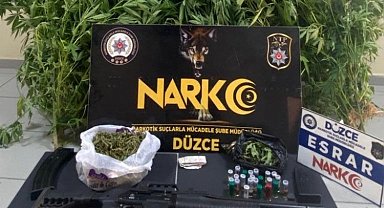 Düzce'de hint keneviri operasyonu: 1 tutuklama